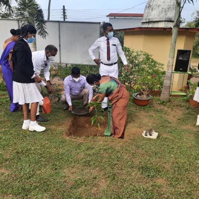 Img 20231017 Wa0032 Copy