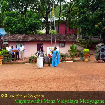 383085398 283905487869694 3207291780916010281 N