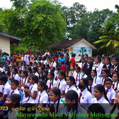 384195489 283905264536383 5639392706734232144 N